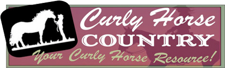 Curly Horses for Sale