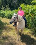 Meet Maddie – Your Next Equine Partner!