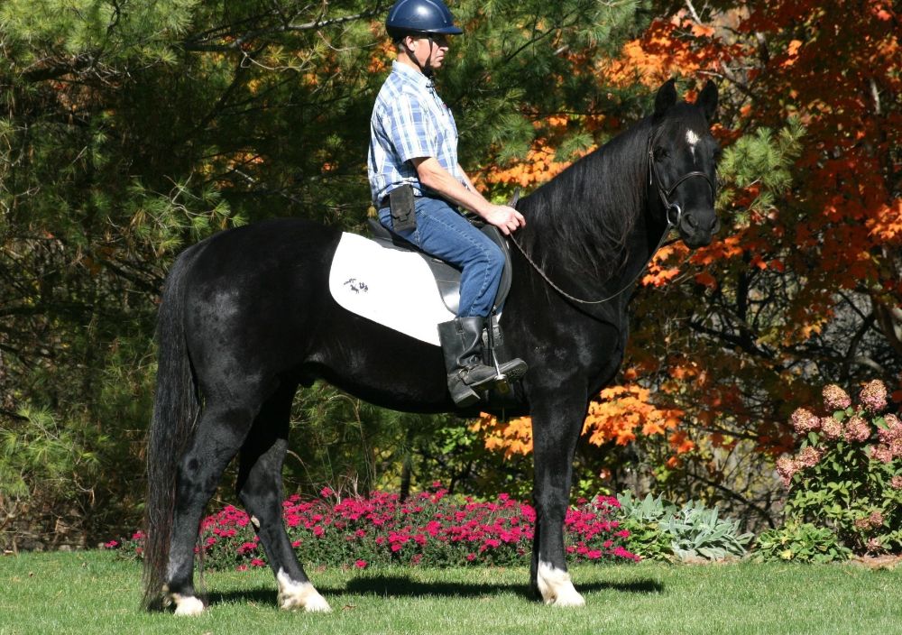 Carbonado - October 2025 - 001