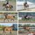 09688fd1-280c-4dda-8d43-6701bc46e149
